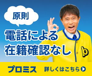 プロミス<!-- バレない -->